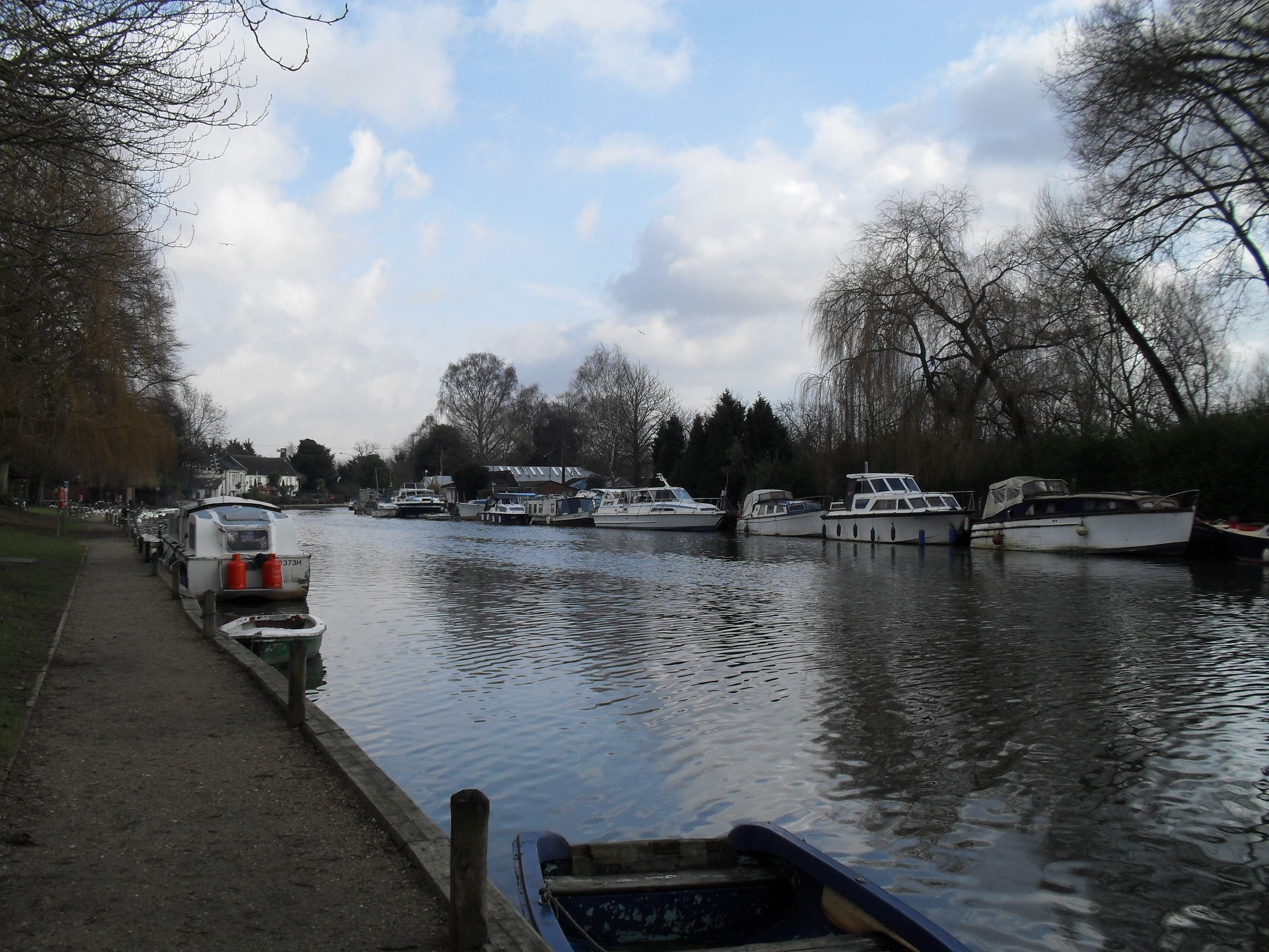 🏞️ 얼럼 공원(얼럼 파크)
